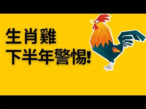 2023屬雞運勢|2023年屬雞運勢解析查詢完整版，第一運程